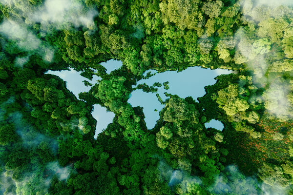 CGI of world map with trees where water would ordinarily be situated